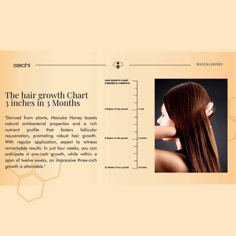 Become our tester or stockist - Honey Growth Hair Collection - Sechi Academy