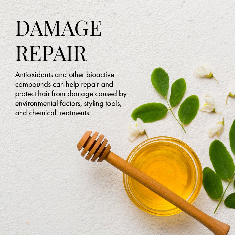 Manuka honey 2025 benefits for hair